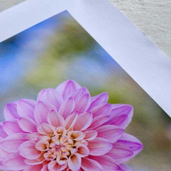 Rolled-Canvas-05 Rolled-Canvas-05