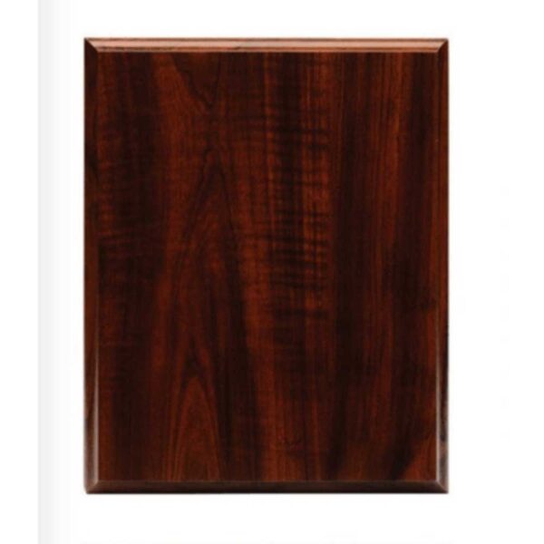 CONCAVE-EDGE-PLAQUE CONCAVE-EDGE-PLAQUE